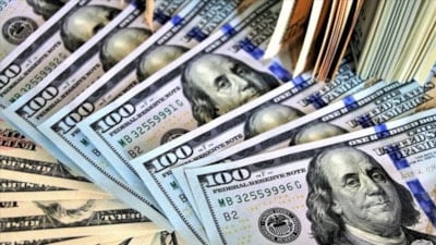 Türkiye'nin yeşil dönüşümüne Avrupa Yatırım Bankası'ndan 200 milyon euro finansman