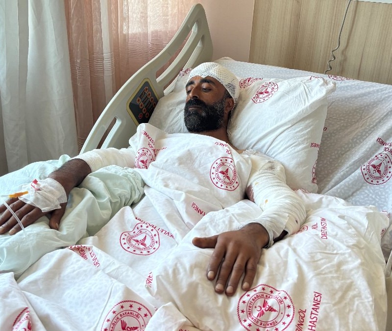 Bingöl'de mantar toplarken ayı saldırısına uğrayan adam koll
