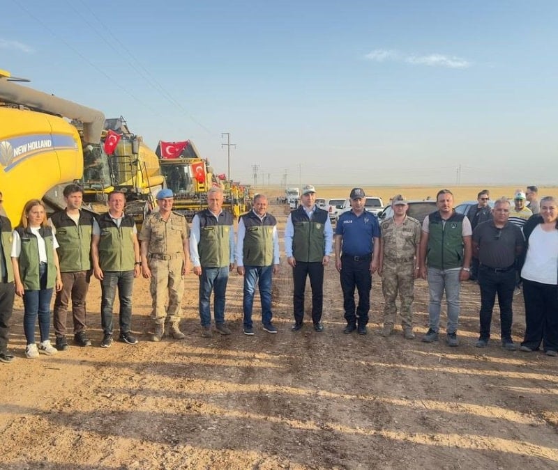Şanlıurfa Ceylanpınar Tarım İşletmesi'nde biçerdöverler tarl