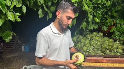 Bursa'da "enginar soyucuları" mesaiye başladı