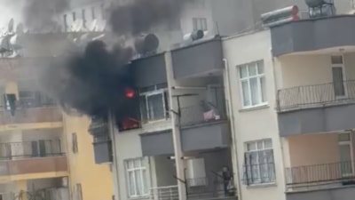 Adana'da apartman dairesindeki yangında mahsur kalan köpek kurtarıldı