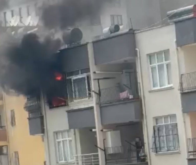 Adana'da apartman dairesindeki yangında mahsur kalan köpek k