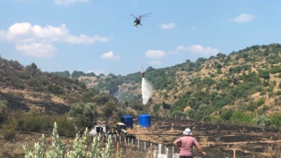 Manisa'da makilik alanda yangın