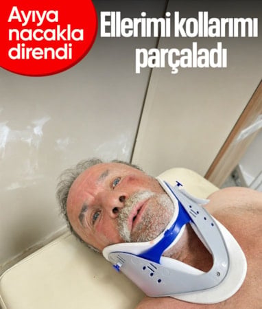 Artvin'de ayıya nacakla direndi, canını kurtardı