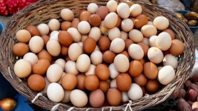 İngiltere'nin önde gelen zincir süpermarketi kahverengi yumurta satışını durduruyor