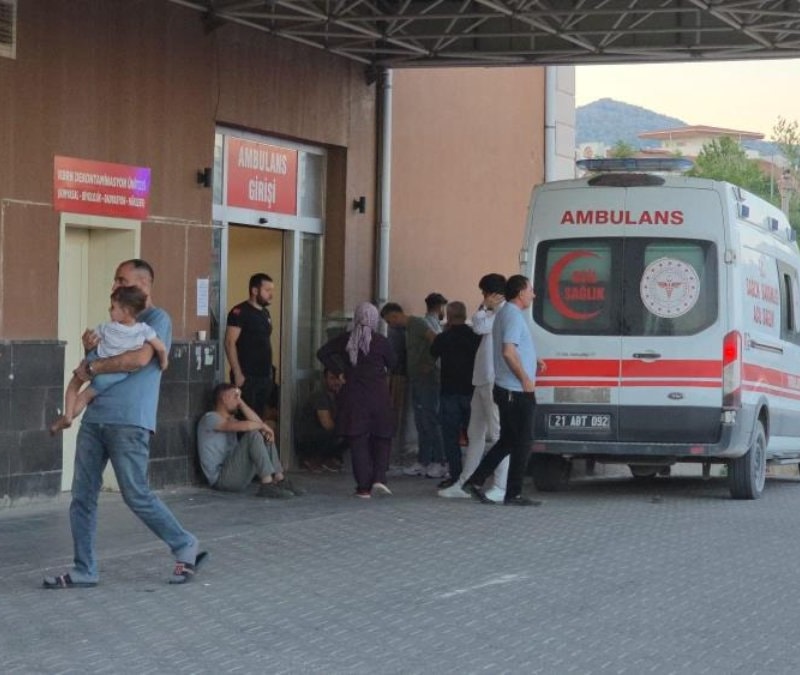 Diyarbakır'da gölete düşen çocuk can verdi