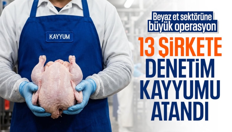 'Beyaz et sektöründe 13 şirkete kayyım atandı'