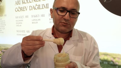 Mersin'de beyaz bal ilgi çekti