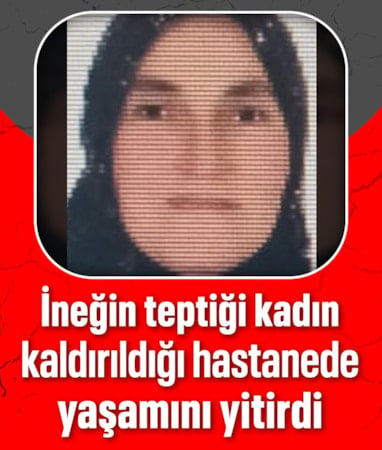 Ordu'da ineğin teptiği kadın öldü