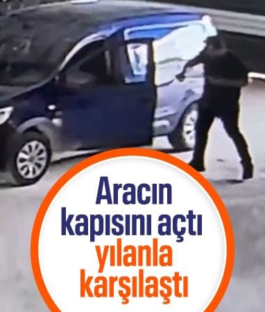 Hatay'da arabaya giren yılan sürücüyü korkuttu