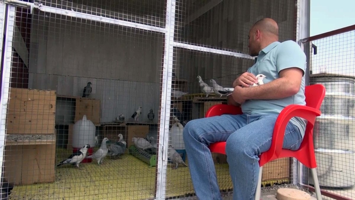 Hatay'da güvercinler hayatını değiştirdi: Sanal medya bağımlılığını hobisiyle bıraktı