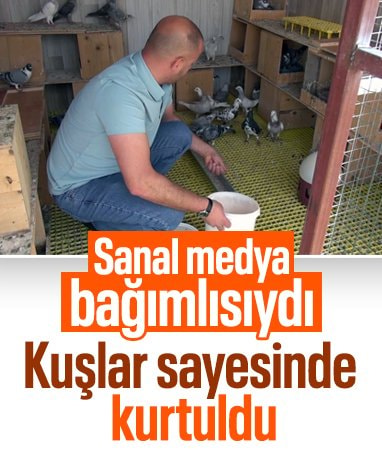 Hatay'da güvercinler hayatını değiştirdi: Sanal medya bağımlılığını hobisiyle bıraktı