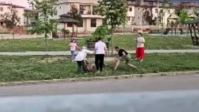 Denizli'de parkta dolaştırılan köpeğe tasmasız köpek saldırdı