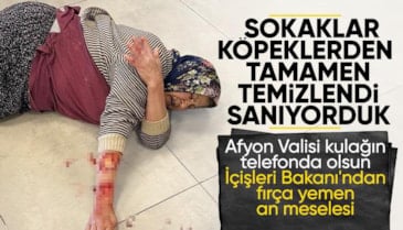Afyonkarahisar'da başıboş köpek kadının kolunu kopardı
