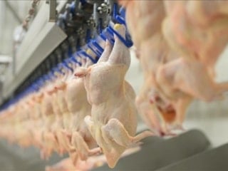 Beyaz et soruşturmasında 4 şirket için kayyum tedbiri durduruldu