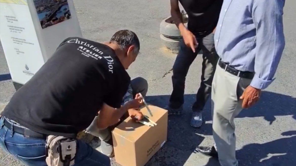 İstanbul'da 'bul karayı al parayı' yöntemiyle kumar oynattı: 'Money' diyerek euro istedi