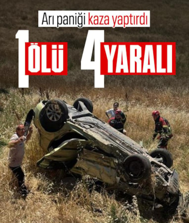 Balıkesir'de arı paniği kaza yaptırdı: 1 ölü 4 yaralı