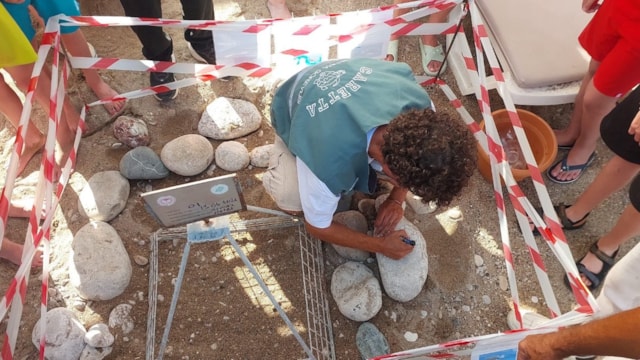 Antalya'da 38 deniz kaplumbağası yuvası koruma altına alındı