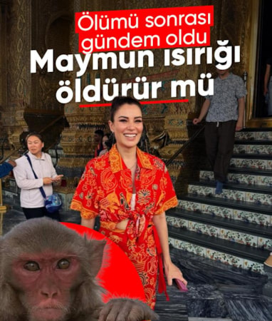 Ece İrtem'in ölümü sonrası gündem oldu: Maymun ısırığı öldürür mü?