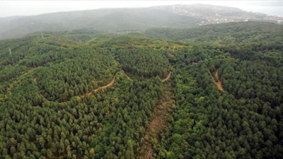 Edirne'de ormanlık alanlara girişler yasaklandı