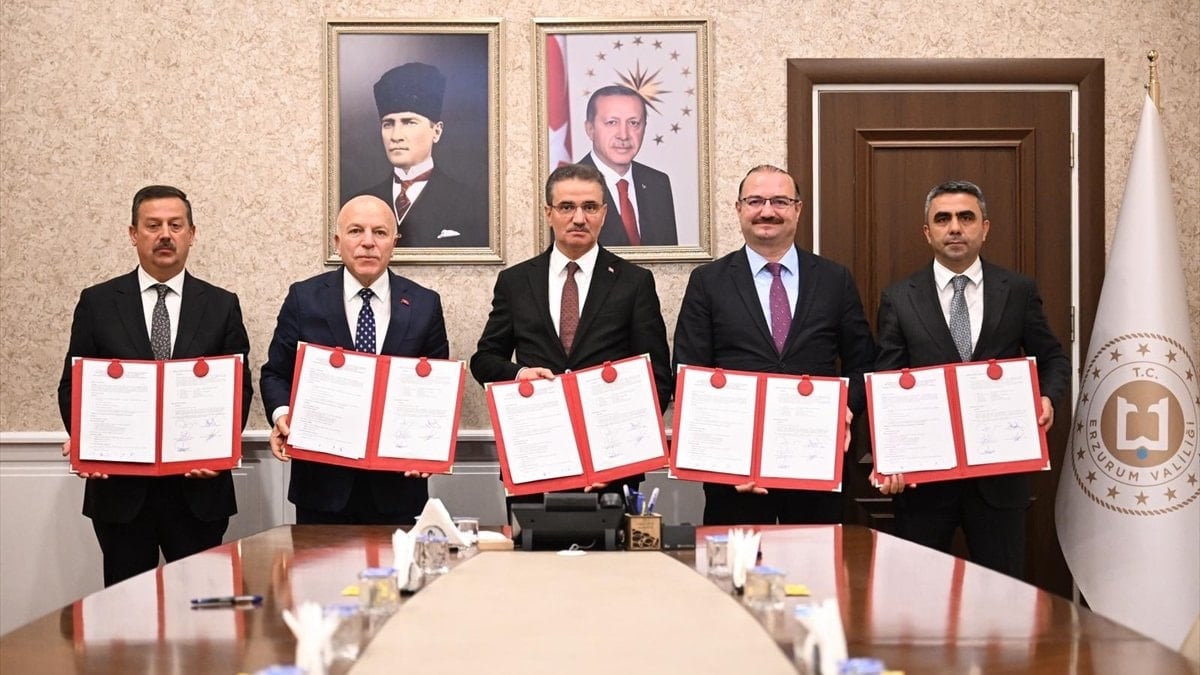 Erzurum'da sahipsiz köpekler laparoskopik yöntemle kısırlaştırılacak