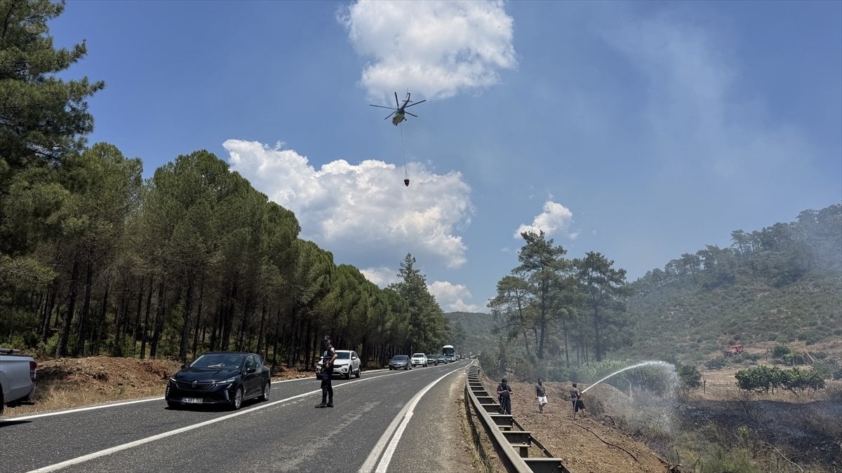 Muğla'da orman ve tarım arazisinde yangın