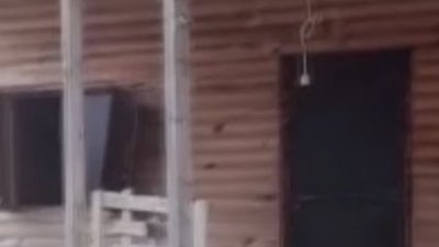 Rize'de bir günde 20 eve giren ayı yayla sakinlerini canından bezdirdi