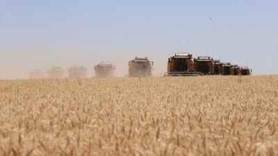 TİGEM'in Şanlıurfa'daki tesisi tarım tarihine imza atıyor