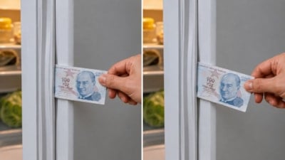 Buzdolabına bir banknot sıkıştırın: 1 dakikalık test faturayı düşürebilir