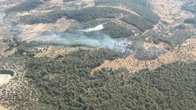 Muğla'da çıkan zirai yangın kısa sürede kontrol altına alındı