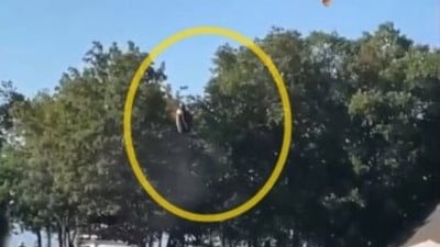 Çorum'da paraşütçü ağaca indi