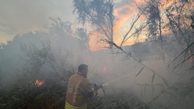 Hatay'da korkutan anız yangını