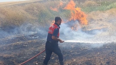 Adıyaman'da örtü ve anız yangınları