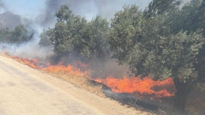 Balıkesir'de eski çöp depolama alanında yangın çıktı: Zeytinliklere de sıçradı
