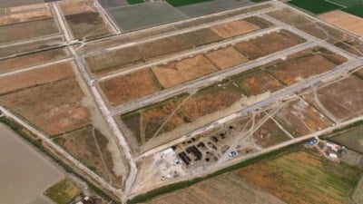 İzmir Kınık'ta denetimli tıbbi kenevir üretim devri başlıyor
