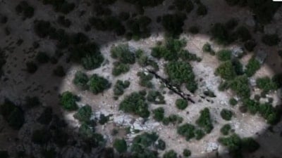 Mersin'de kaybolan 40 koyun, drone desteğiyle bulundu