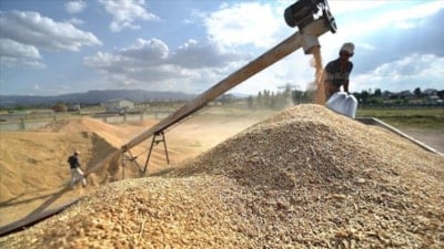 Tarımda 'yağış' bereketi bekleniyor: Rekorlar gelecek