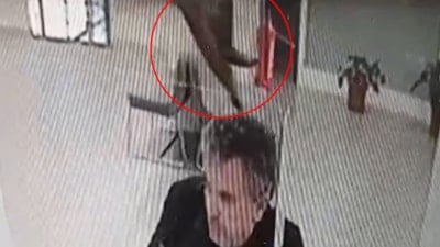 Bolu'da bankada işlem yaparken üzerine kedi düştü: O anlar kamerada