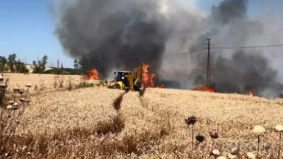 Tekirdağ'da 50 dekar ekili buğday yandı