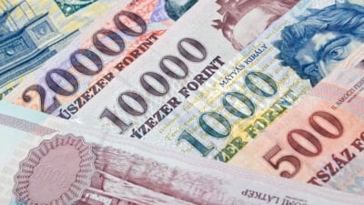 Macaristan'da yerli para birimi tarihe karışacak: Euroya geçiyorlar
