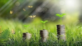 Enerji verimliliği ve karbon azaltımı kriterlerine uyan işletmelere destek programı