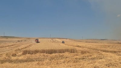 Tekirdağ'da biçerdöverler, yangının dibinde hasat yarışında