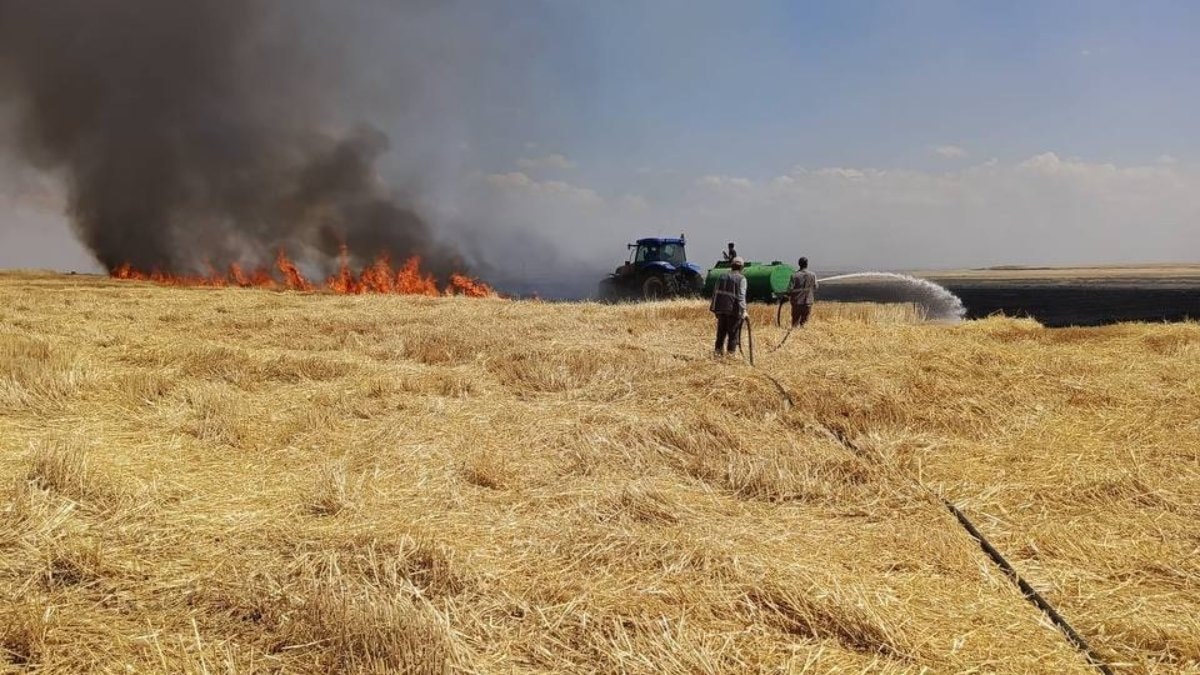 Diyarbakır’da yüzlerce dönüm arazi alevlere teslim oldu