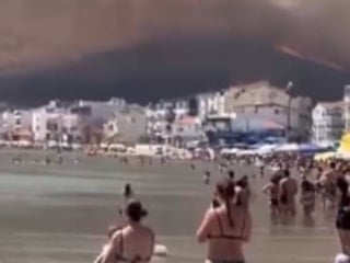 İzmir'de makilik alanda yangın çıktı, sahile kadar ulaştı