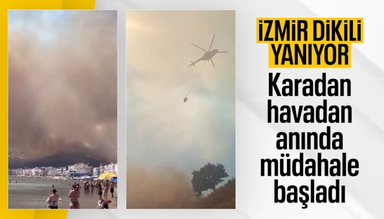 İzmir'de makilik alanda yangın çıktı, sahile kadar ulaştı
