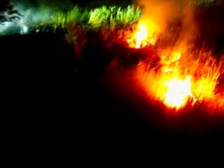 Afyonkarahisar Eber Gölü'nde çıkan yangın korkuttu