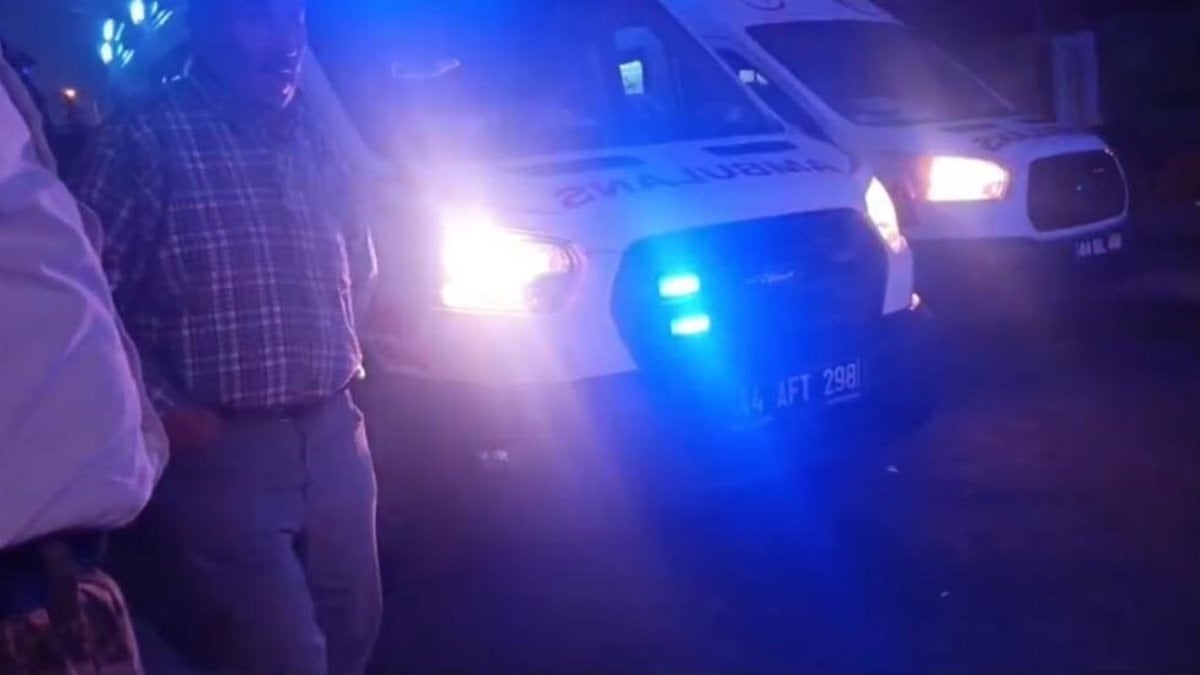 Malatya'da dut ağacı kavgası: 3 yaralı