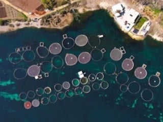Tarım teknolojisi modernizasyonu için 30 milyon euro