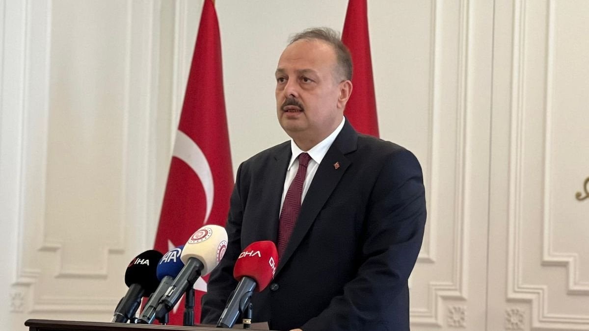 Ankara'da 52 bin sahipsiz sokak hayvanı toplandı