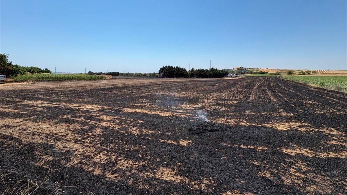 Silivri'de elektrik direği kesilirken çıkan kıvılcım, tarlaları yaktı